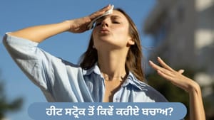 ਵਧਦੀ ਗਰਮੀ ਵਿੱਚ ਹੀਟ ਸਟ੍ਰੋਕ ਦਾ ਖ਼ਤਰਾ, ਕੀ ਹੁੰਦੇ ਹਨ ਲੱਛਣ? ਕਿਵੇਂ ਕਰੀਏ ਬਚਾਅ