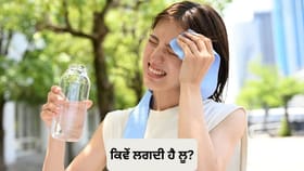 ਲੂ ਲੱਗਣ ਦੇ ਕੀ ਹਨ ਮੁੱਖ ਕਾਰਨ ਅਤੇ ਕਦੋਂ ਪੈਂਦੀ ਹੈ ਹਸਪਤਾਲ ਜਾਣ ਦੀ ਲੋੜ? ਐਮਸ ਦੇ ਡਾਕਟਰਾਂ ਨੇ ਦੱਸਿਆ...