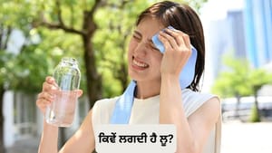 ਲੂ ਲੱਗਣ ਦੇ ਕੀ ਹਨ ਮੁੱਖ ਕਾਰਨ ਅਤੇ ਕਦੋਂ ਪੈਂਦੀ ਹੈ ਹਸਪਤਾਲ ਜਾਣ ਦੀ ਲੋੜ? ਜਾਣੋਂ