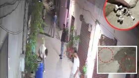 ਜਲੰਧਰ ‘ਚ ਪੁਰਾਣੀ ਰੰਜਿਸ਼ ਨੂੰ ਲੈ ਕੇ ਚੱਲੀਆਂ ਗੋਲੀਆਂ, ਇਲਾਕੇ ਵਿੱਚ ਦਹਿਸ਼ਤ ਦਾ ਮਾਹੌਲ, ਪੁਲਿਸ ਕਰ ਰਹੀ ਜਾਂਚ...