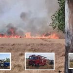 ਕੋਟਕਪੂਰਾ ਨੇੜੇ ਪਿੰਡ ਕੋਠੇ ਗੱਜਣ ਸਿੰਘ ਵਾਲਾ ਦੇ ਖੇਤਾਂ ‘ਚ ਲੱਗੀ ਭਿਆਨਕ ਅੱਗ, ਕਰੀਬ 40 ਏਕੜ ਕਣਕ ਦੀ ਫਸਲ ਸੜੀ