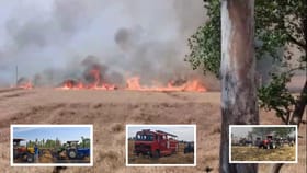 ਕੋਟਕਪੂਰਾ ਦੇ ਖੇਤਾਂ 'ਚ ਲੱਗੀ ਭਿਆਨਕ ਅੱਗ, ਕਰੀਬ 40 ਏਕੜ ਕਣਕ ਦੀ ਫਸਲ ਸੜੀ