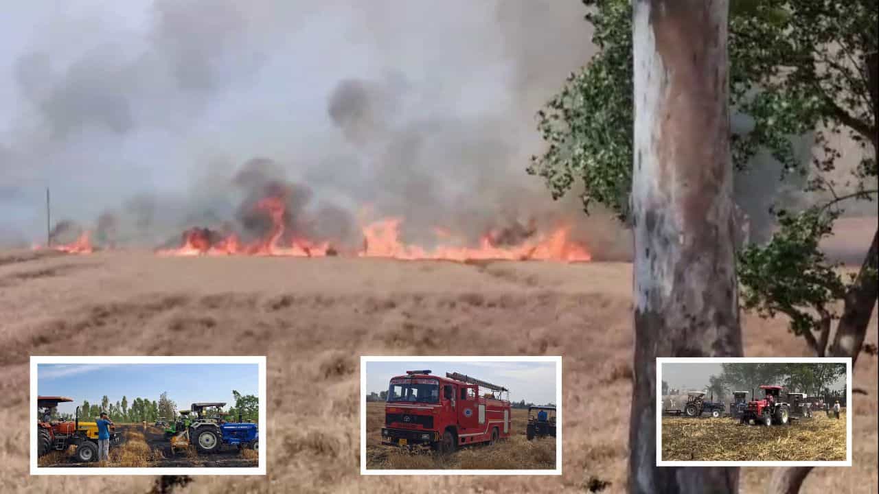 ਕੋਟਕਪੂਰਾ ਨੇੜੇ ਪਿੰਡ ਕੋਠੇ ਗੱਜਣ ਸਿੰਘ ਵਾਲਾ ਦੇ ਖੇਤਾਂ ਚ ਲੱਗੀ ਭਿਆਨਕ ਅੱਗ, ਕਰੀਬ 40 ਏਕੜ ਕਣਕ ਦੀ ਫਸਲ ਸੜੀ