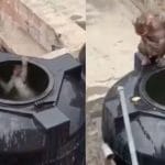 Viral Video: ਭਿਆਨਕ ਗਰਮੀ ‘ਚ ਬਾਂਦਰਾਂ ਦਾ ਅਨੋਖਾ ਜੁਗਾੜ, ਪਾਣੀ ਦੀ ਟੈਂਕੀ ਨੂੰ ਬਣਾਇਆ ਆਪਣਾ ਸਵਿਮਿੰਗ ਪੂਲ; ਦੇਖੋ ਵੀਡੀਓ