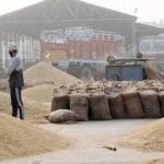 ਅੱਜ ਤੋਂ ਕਣਕ ਦੀ ਸਰਕਾਰੀ ਖ਼ਰੀਦ ਸ਼ੁਰੂ, MSP ‘ਚ 160 ਰੁਪਏ ਦਾ ਵਾਧਾ; ਸਰਹੱਦੀ ਖੇਤਰਾਂ ‘ਚ ਚੌਕਸੀ