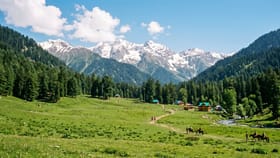 Baisaran Ghati: ਜੰਨਤ ਤੋਂ ਘੱਟ ਨਹੀਂ ਹੈ ਪਹਿਲਗਾਮ ਦੀ ਬੈਸਰਨ ਘਾਟੀ, ਇੱਕ-ਇੱਕ ਤਸਵੀਰ ‘ਚ ਦੋਖੋ ਖੂਬਸੂਰਤੀ...