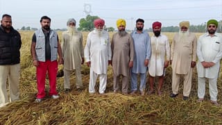 ਬੇਮੌਸਮੀ ਬਰਸਾਤ ਨਾਲ 1.25 ਲੱਖ ਏਕੜ ਤੋਂ ਵੱਧ ਫਸਲ ਦਾ ਨੁਕਸਾਨ, ਮੁਰਝਾਏ ਕਿਸਾਨਾਂ ਦੇ ਚੇਹਰੇ