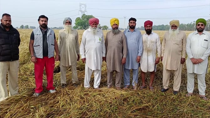 ਮੀਂਹ-ਗੜੇਮਾਰੀ ਤੇ ਤੇਜ਼ ਹਵਾਵਾਂ ਕਾਰਨ ਕਿਸਾਨ ਪ੍ਰੇਸ਼ਾਨ, ਫਸਲ ਨੂੰ ਭਾਰੀ ਨੁਕਸਾਨ