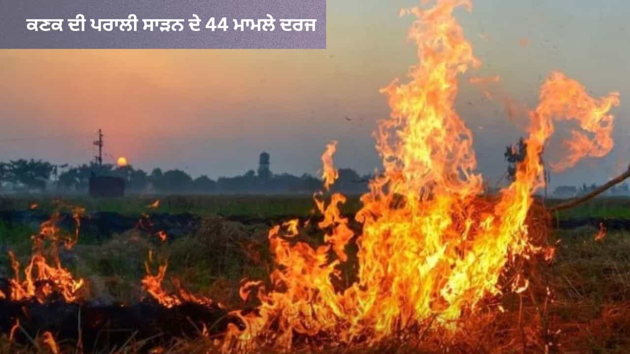 ਪੰਜਾਬ ਦੇ ਖੇਤਾਂ ਚ ਫਿਰ ਲੱਗੀ ਅੱਗ: ਕਣਕ ਦੀ ਪਰਾਲੀ ਸਾੜਨ ਦੇ 44 ਮਾਮਲੇ ਦਰਜ, ਜ਼ਹਿਰੀਲੀ ਹੋਈ ਹਵਾ; ਮੰਡੀ ਗੋਬਿੰਦਗੜ੍ਹ ਦਾ AQI ਖਰਾਬ