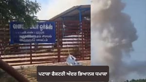 ਤਾਮਿਲਨਾਡੂ 'ਚ ਪਟਾਕਾ ਫੈਕਟਰੀ ਅੰਦਰ ਭਿਆਨਕ ਧਮਾਕਾ, 19 ਦੀ ਮੌਤ; ਕਈ ਜ਼ਖਮੀ