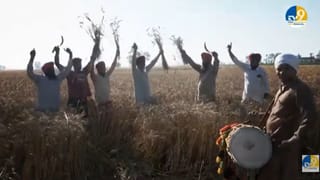 ਕਣਕ ਪੱਕਣ ਦੀ ਖੁਸ਼ੀ, ਪਰ ਥੋੜੇ ਮਾਯੂਸ ਵੀ ਨੇ ਕਿਸਾਨ, ਕਿਉਂ? ਜਾਣੋ ਵਜ੍ਹਾ…