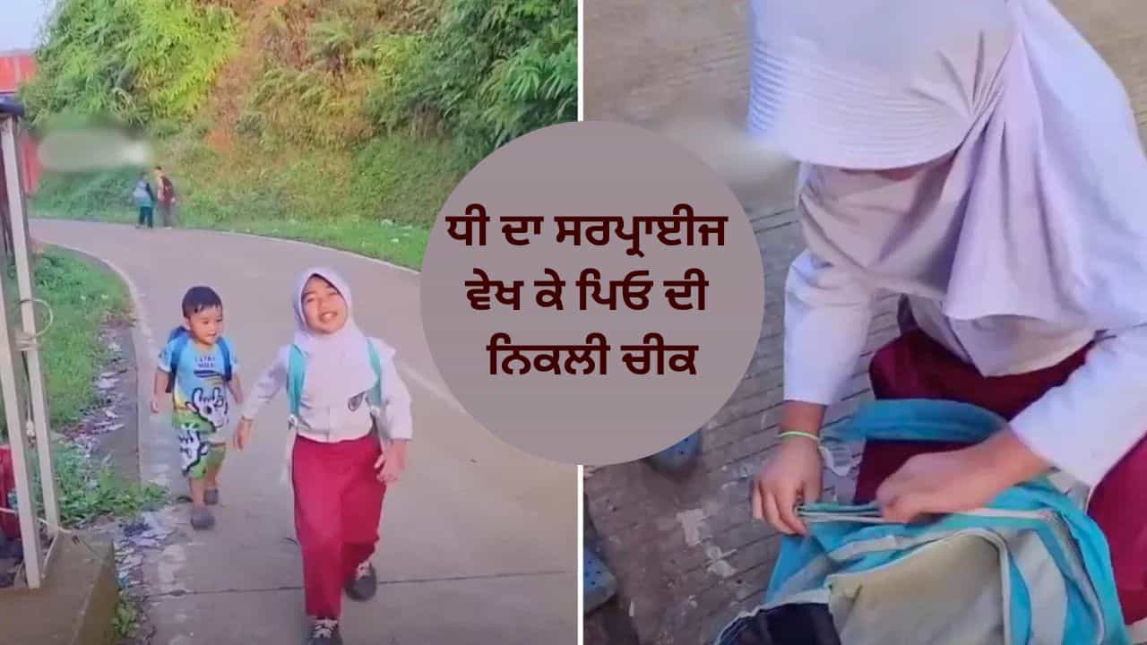 Viral Video: ਸਕੂਲ ਬੈਗ ਵਿੱਚ ਭਰ ਕੇ ਇਹ ਕੀ ਲੈ ਕੇ ਆਈ ਧੀ? ਦੇਖਦਿਆਂ ਹੀ ਪਿਤਾ ਦੀ ਨਿਕਲ ਗਈ ਚੀਕ