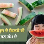 Watermelon Peel reuse: ਬੇਕਾਰ ਸਮਝ ਕੇ ਸੁੱਟ ਦਿੰਦੇ ਹੋ ਤਰਬੂਜ ਦੇ ਛਿਲਕੇ? ਜਾਣੋ ਇਹ ਕਿਵੇਂ ਆ ਸਕਦੇ ਹਨ ਤੁਹਾਡੇ ਕੰਮ