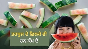 ਬੇਕਾਰ ਸਮਝ ਕੇ ਸੁੱਟ ਦਿੰਦੇ ਹੋ ਤਰਬੂਜ ਦੇ ਛਿਲਕੇ? ਜਾਣੋ ਇਹ ਕਿਵੇਂ ਆ ਸਕਦੇ ਨੇ ਕੰਮ