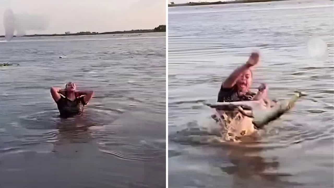 Viral Video: ਨਦੀ ਵਿੱਚ ਨਹਾ ਰਹੀ ਮਹਿਲਾ ਦੇ ਅਚਾਨਕ ਹੱਥ ਆ ਗਿਆ ਖ਼ੂੰਖਾਰ ਮਗਰਮੱਛ, ਵੀਡੀਓ ਦੇਖ ਕੇ ਉੱਡ ਜਾਣਗੇ ਹੋਸ਼