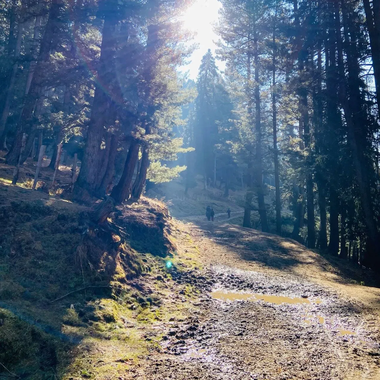 22 ਅਪ੍ਰੈਲ, 2025, ਭਾਰਤ ਲਈ ਇੱਕ ਕਾਲਾ ਦਿਨ ਸੀ। ਪਿਛਲੇ ਸਾਲ ਇਸ ਦਿਨ ਅੱਤਵਾਦੀਆਂ ਨੇ ਪਹਿਲਗਾਮ ਵਿੱਚ ਬੈਸਰਨ ਘਾਟੀ ਜਾਣ ਵਾਲੇ ਸੈਲਾਨੀਆਂ ਨੂੰ ਨਿਸ਼ਾਨਾ ਬਣਾਇਆ, ਜਿਸ ਵਿੱਚ 26 ਲੋਕ ਮਾਰੇ ਗਏ। ਇਸ ਹਮਲੇ ਨੇ ਸਾਰਿਆਂ ਨੂੰ ਹੈਰਾਨ ਕਰ ਦਿੱਤਾ। ਹਮਲੇ ਤੋਂ ਬਾਅਦ, ਬੈਸਰਨ ਘਾਟੀ ਜਨਤਾ ਲਈ ਬੰਦ ਕਰ ਦਿੱਤੀ ਗਈ ਸੀ, ਅਤੇ ਅੱਜ ਵੀ ਇਹ ਸੁਨਸਾਨ ਹੀ ਪਈ ਹੈ।