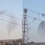 Viral Video: ਕੁਦਰਤ ਨੇ ਅਸਮਾਨ ‘ਚ ਦਿਖਾਇਆ ਦਿਲ ਜਿੱਤਣ ਵਾਲਾ ਦ੍ਰਿਸ਼, ਦੇਖਦੇ ਹੀ ਮਨ ਹੋ ਜਾਵੇਗਾ ਖੁਸ਼