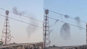 ਕੁਦਰਤ ਨੇ ਅਸਮਾਨ 'ਚ ਦਿਖਾਇਆ ਦਿਲ ਜਿੱਤਣ ਵਾਲਾ ਦ੍ਰਿਸ਼, ਦੇਖੋ ਇਹ Video