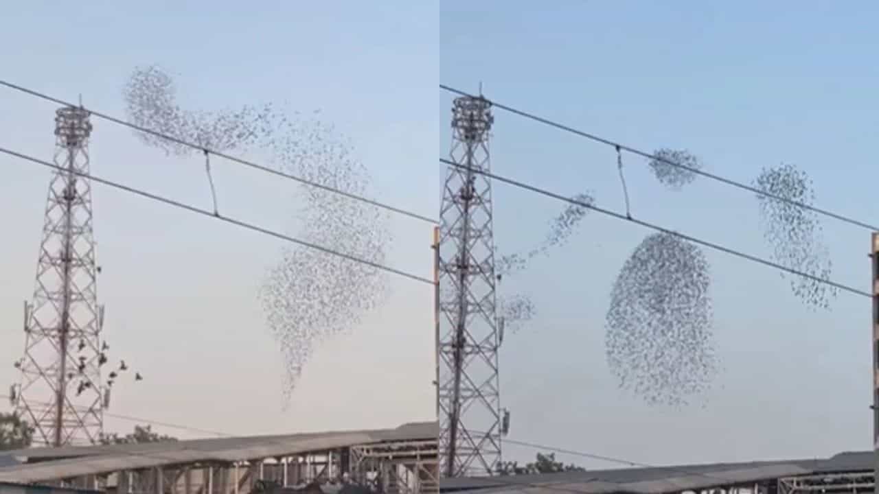 Viral Video: ਕੁਦਰਤ ਨੇ ਅਸਮਾਨ ਚ ਦਿਖਾਇਆ ਦਿਲ ਜਿੱਤਣ ਵਾਲਾ ਦ੍ਰਿਸ਼, ਦੇਖਦੇ ਹੀ ਮਨ ਹੋ ਜਾਵੇਗਾ ਖੁਸ਼