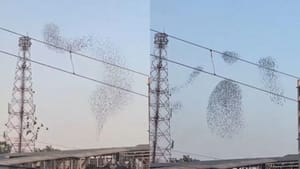 ਕੁਦਰਤ ਨੇ ਅਸਮਾਨ 'ਚ ਦਿਖਾਇਆ ਦਿਲ ਜਿੱਤਣ ਵਾਲਾ ਦ੍ਰਿਸ਼, ਦੇਖੋ ਇਹ Video