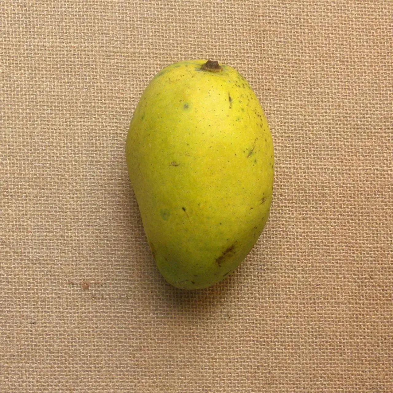 ਚੌਸਾ ਅੰਬ ਉੱਤਰੀ ਭਾਰਤ ਵਿੱਚ ਬਹੁਤ ਮਸ਼ਹੂਰ ਹੈ। ਇਹ ਬਹੁਤ ਹੀ ਰਸੀਲਾ ਅਤੇ ਮਿੱਠਾ ਹੁੰਦਾ ਹੈ, ਜਿਸ ਨਾਲ ਇਸਨੂੰ ਚੂਸਣ ਦਾ ਮਜਾ ਵੱਖਰਾ ਹੀ ਹੁੰਦਾ ਹੈ। ਇਸਨੂੰ ਮੱਧ ਪੂਰਬ ਅਤੇ ਯੂਰਪ ਵਿੱਚ ਵੀ ਵਿਆਪਕ ਤੌਰ 'ਤੇ ਨਿਰਯਾਤ ਕੀਤਾ ਜਾਂਦਾ ਹੈ।