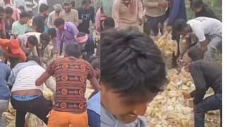 Viral Video: ਮਰੀਆਂ ਹੋਇਆ ਮੁਰਗੀਆਂ ਨੂੰ ਲੁੱਟਣ ਲਈ ਸੜਕ ‘ਤੇ ਪਹੁੰਚੀ ਭੀੜ, ਦ੍ਰਿਸ਼ ਦੇਖ ਹੋ ਜਾਓਗੇ ਹੈਰਾਨ