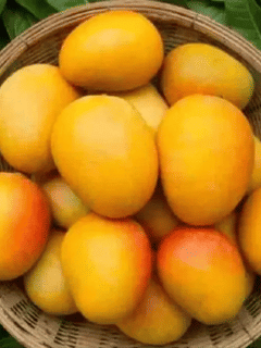 ਅੰਬ ਨਾਲ ਇਹ ਚੀਜ਼ਾਂ ਖਾਣੀ ਪੈ ਸਕਦੀ ਹੈ ਭਾਰੀ!...