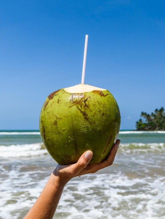 ਗਰਮੀਆਂ 'ਚ ਨਾਰੀਅਲ ਪਾਣੀ ਪੀਣ ਨਾਲ ਸਰੀਰ ਨੂੰ ਕਿਹੜੇ ਵਿਟਾਮਿਨ ਮਿਲਦੇ ਹਨ?