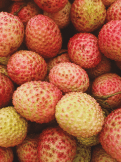 ਰਾਮਬੂਟਨ ‘ਤੇ ਲੀਚੀ ਵਿੱਚ ਕਿੰਨੇ ਵਿਟਾਮਿਨ-ਖਣਿਜ ਹੁੰਦੇ ਹਨ?...