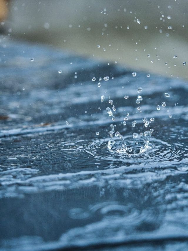 ਮੀਂਹ ਦੇ ਮੌਸਮ 'ਚ ਸਕਿਨ ਨੂੰ ਕਿਵੇਂ ਬਚਾਇਆ ਜਾਵੇ?