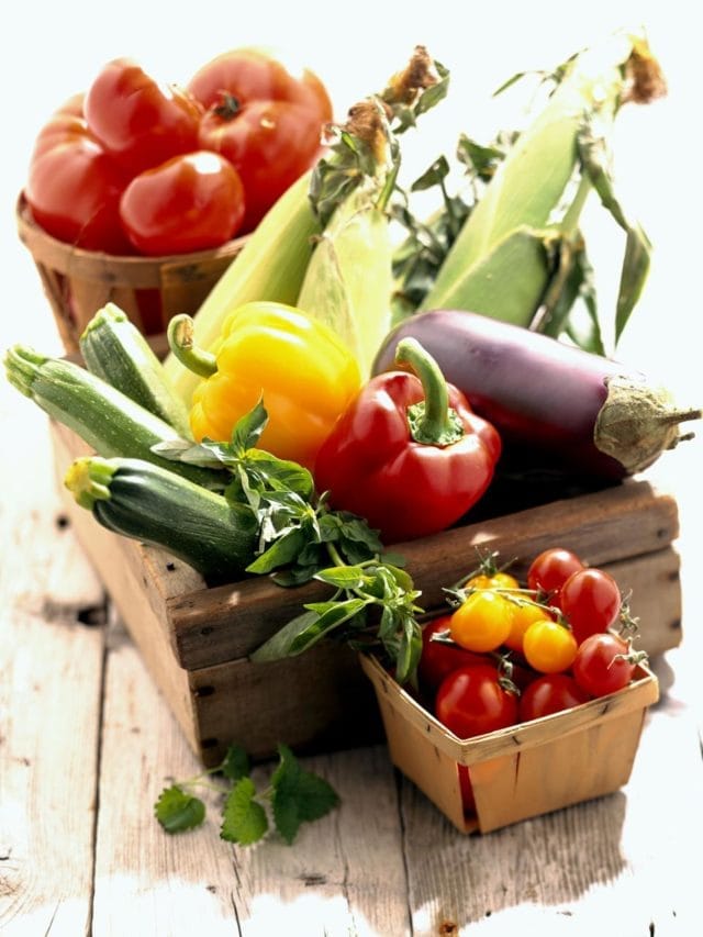 ਗਰਮੀਆਂ 'ਚ ਕਿਹੜੀਆਂ ਸਬਜ਼ੀਆਂ ਸਰੀਰ ਨੂੰ ਹਾਈਡ੍ਰੇਟ ਰੱਖਦੀਆਂ ਹਨ?