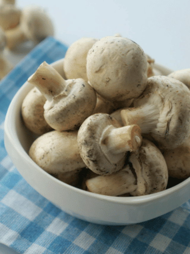 ਭਾਰਤ 'ਚ ਖਾਧੇ ਜਾਣ ਵਾਲੇ ਮਸ਼ਰੂਮ ਵਿੱਚ ਵਿਟਾਮਿਨ ਅਤੇ ਖਣਿਜ