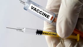 ਭਾਰਤ 'ਚ ਜਲਦ ਆਵੇਗੀ ਡੇਂਗੂ ਵੈਕਸੀਨ, ਕੀ ਖ਼ਤਮ ਹੋ ਸਕੇਗੀ ਇਹ ਖ਼ਤਰਨਾਕ ਬਿਮਾਰੀ?