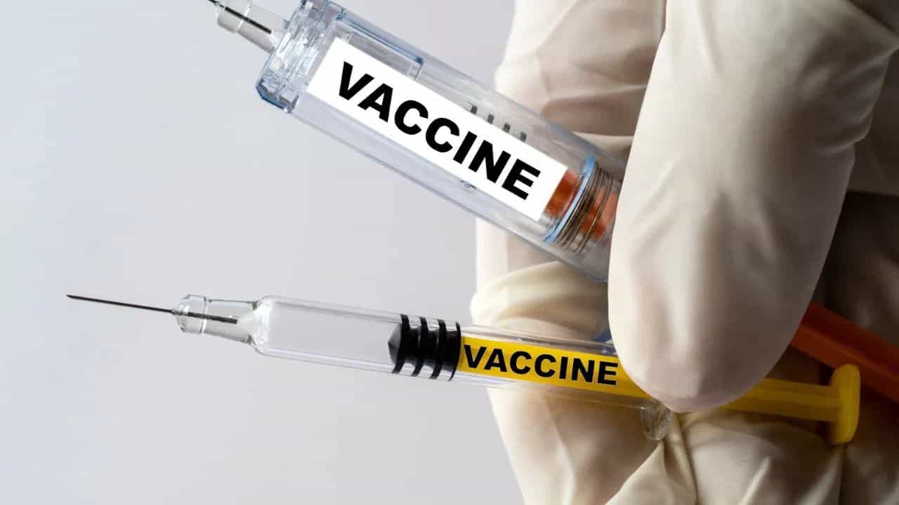 ਭਾਰਤ ਚ ਜਲਦ ਆ ਸਕਦੀ ਹੈ ਡੇਂਗੂ ਦੀ ਵੈਕਸੀਨ, ਇਸ ਟੀਕੇ ਨਾਲ ਖ਼ਤਮ ਹੋ ਜਾਵੇਗੀ ਇਹ ਖ਼ਤਰਨਾਕ ਬਿਮਾਰੀ?