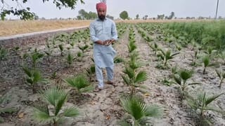 ਘੱਟ ਲਾਗਤ ਤੇ ਵੱਧ ਮੁਨਾਫ਼ਾ… ਫਰੀਦਕੋਟ ਦਾ ਇਹ ਕਿਸਾਨ ਕਰ ਰਿਹਾ ਵਿਲੱਖਣ ਖੇਤੀ