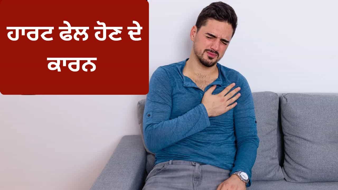 Heart Fail: ਕਿਉਂ ਹੁੰਦਾ ਹੈ ਹਾਰਟ ਫੇਲ? ਕੀ ਹਨ ਇਸਦੇ ਲੱਛਣ ? Heart Fail: ਕਿਉਂ ਹੁੰਦਾ ਹੈ ਹਾਰਟ ਫੇਲ? ਕੀ ਹਨ ਇਸਦੇ ਲੱਛਣ ?