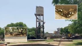 ਪੰਜਾਬ ਭਾਜਪਾ ਦੇ ਸਾਬਕਾ ਸਿਹਤ ਮੰਤਰੀ ਜਿਆਣੀ ਦੇ ਜੱਦੀ ਪਿੰਡ 'ਚ ਪਾਣੀ ਲਈ ਤਰਸੇ ਲੋਕ