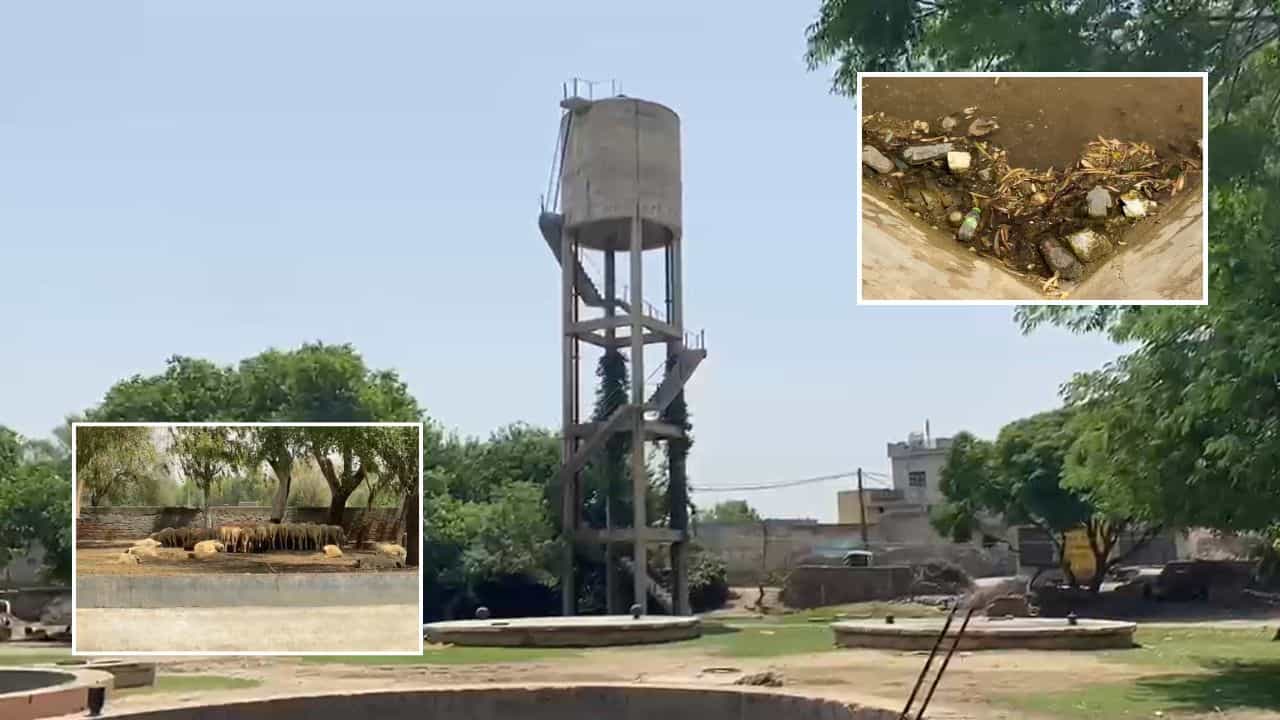 ਪੰਜਾਬ ਭਾਜਪਾ ਦੇ ਸਾਬਕਾ ਸਿਹਤ ਮੰਤਰੀ ਜਿਆਣੀ ਦੇ ਜੱਦੀ ਪਿੰਡ ਚ ਪੀਣ ਵਾਲੇ ਪਾਣੀ ਲਈ ਤਰਸੇ ਲੋਕ