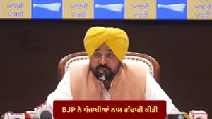 ਸੱਤਾਂ ਸਾਂਸਦਾਂ ਨੇ ਪੰਜਾਬੀਆਂ ਨਾਲ ਕੀਤਾ ਧੋਖਾ, BJP ਸਾਡੇ ਕੰਮਾਂ ਤੋਂ ਡਰੀ : CM