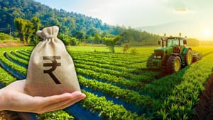 KCC ਲੋਨ ਨਹੀਂ ਮੋੜਦੇ ਤਾਂ ਕੀ ਜ਼ਮੀਨ ਹੋ ਜਾਵੇਗੀ ਨਿਲਾਮ? ਜਾਣੋ ਆਪਣੇ ਹੱਕ