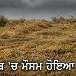 Punjab Weather: ਫਿਰੋਜ਼ਪੁਰ ਸਮੇਤ 14 ਜ਼ਿਲ੍ਹਿਆਂ ‘ਚ ਮੌਸਮ ਹੋਇਆ ਖ਼ਰਾਬ, ਬਾਰਿਸ਼ ਤੇ ਗੜ੍ਹੇਮਾਰੀ ਦਾ ਅਲਰਟ ਜਾਰੀ; ਕਿਸਾਨਾਂ ਦੀ ਵਧੀ ਚਿੰਤਾ
