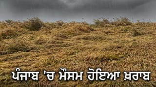 Punjab Weather: ਫਿਰੋਜ਼ਪੁਰ ਸਮੇਤ 14 ਜ਼ਿਲ੍ਹਿਆਂ ‘ਚ ਮੌਸਮ ਹੋਇਆ ਖ਼ਰਾਬ, ਬਾਰਿਸ਼ ਤੇ ਗੜ੍ਹੇਮਾਰੀ ਦਾ ਅਲਰਟ ਜਾਰੀ; ਕਿਸਾਨਾਂ ਦੀ ਵਧੀ ਚਿੰਤਾ