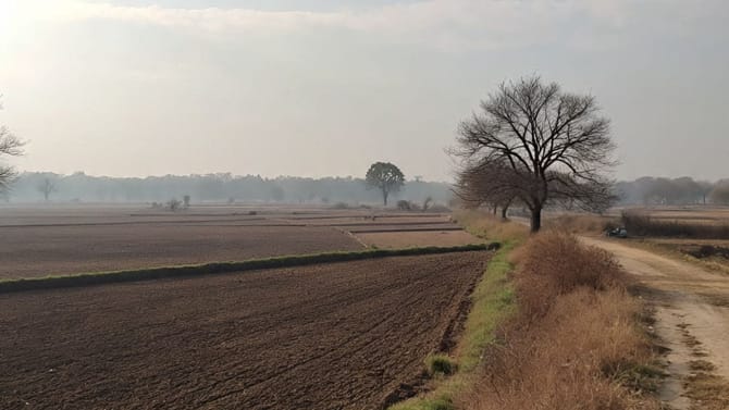 ਪੰਜਾਬ: ਅੱਜ ਮੌਸਮ ਸਾਫ਼, ਅਗਲੇ 2 ਦਿਨ ਲੂ ਦਾ ਅਲਰਟ, 26 ਅਪ੍ਰੈਲ ਝੱਖੜ ਦੀ ਚੇਤਾਵਨੀ