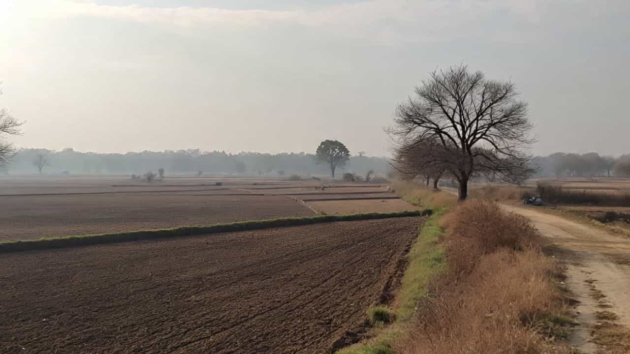 ਪੰਜਾਬ: ਅੱਜ ਮੌਸਮ ਸਾਫ਼, ਅਗਲੇ 2 ਦਿਨ ਲੂ ਦਾ ਅਲਰਟ, 26 ਅਪ੍ਰੈਲ ਝੱਖੜ ਦੀ ਚੇਤਾਵਨੀ ਦੇ ਨਾਲ ਬਾਰਿਸ਼ ਦੀ ਭਵਿੱਖਬਾਣੀ