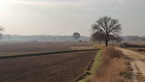 ਪੰਜਾਬ: ਅੱਜ ਮੌਸਮ ਸਾਫ਼, ਅਗਲੇ 2 ਦਿਨ ਲੂ ਦਾ ਅਲਰਟ, 26 ਅਪ੍ਰੈਲ ਝੱਖੜ ਦੀ ਚੇਤਾਵਨੀ