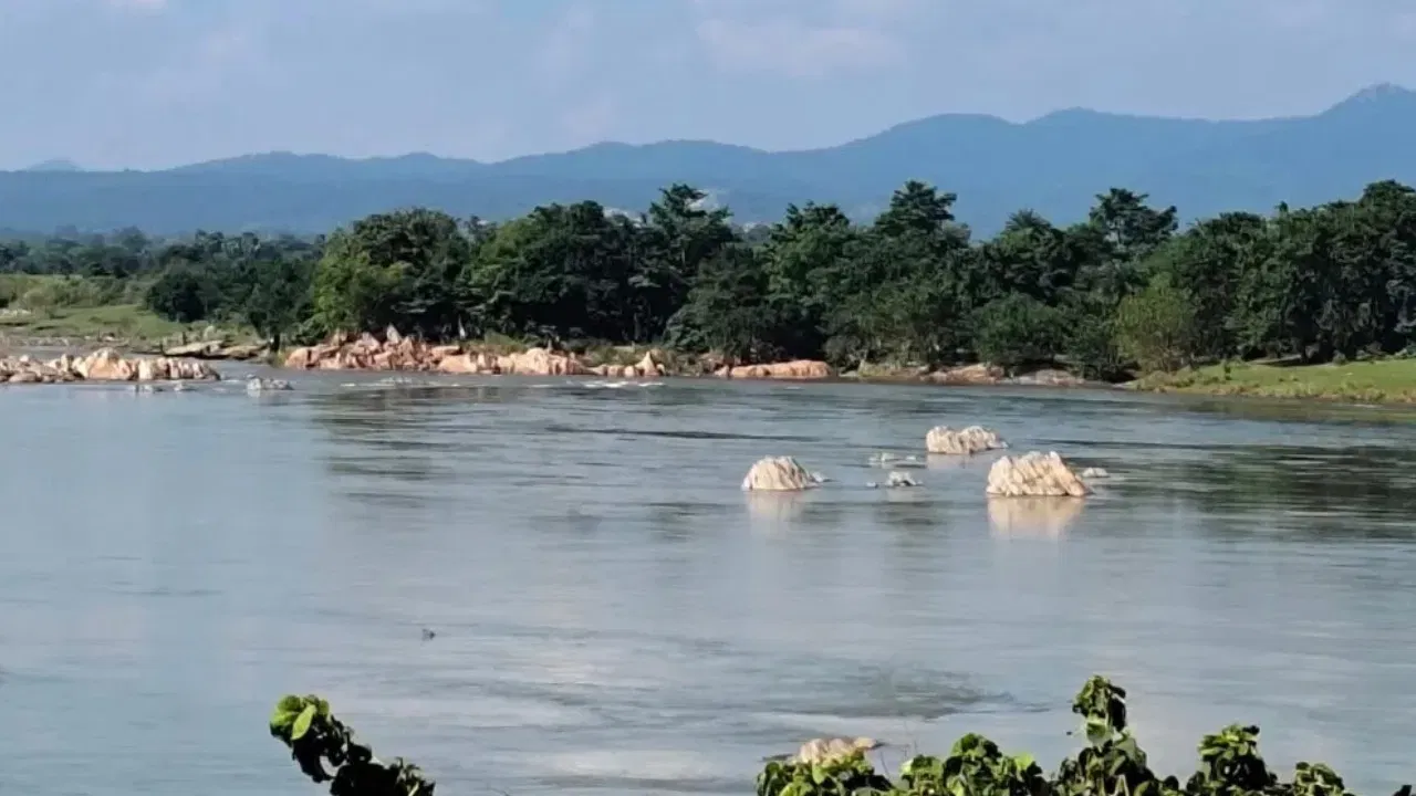 ਨਦੀ ਦੀ ਮਹੱਤਤਾ... ਸਵਰਨਰੇਖਾ ਨਦੀ ਦੀ ਰੇਤ ਵਿੱਚ ਸੋਨੇ ਦੇ ਛੋਟੇ-ਛੋਟੇ ਕਣ ਪਾਏ ਗਏ ਸਨ। ਸਥਾਨਕ ਲੋਕਾਂ ਨੇ ਉਨ੍ਹਾਂ ਨੂੰ ਇਕੱਠਾ ਕੀਤਾ ਅਤੇ ਨੇੜੇ ਸੋਨੇ ਦੇ ਭੰਡਾਰਾਂ ਦੀ ਮੌਜੂਦਗੀ ਨੇ ਇਸਦੀ ਪ੍ਰਸਿੱਧੀ ਨੂੰ ਹੋਰ ਵਧਾ ਦਿੱਤਾ। ਇਹ ਨਦੀ ਦੋ ਸ਼ਬਦਾਂ ਸਵਰਨ ਅਤੇ ਰੇਖਾ ਤੋਂ ਬਣੀ ਹੈ। ਇਹ ਨਾਮ ਸੋਨੇ ਦੀ ਖੁਦਾਈ ਨਾਲ ਇਸਦੇ ਇਤਿਹਾਸਕ ਸਬੰਧਾਂ ਨੂੰ ਮਜ਼ਬੂਤ ਕਰਦਾ ਹੈ।