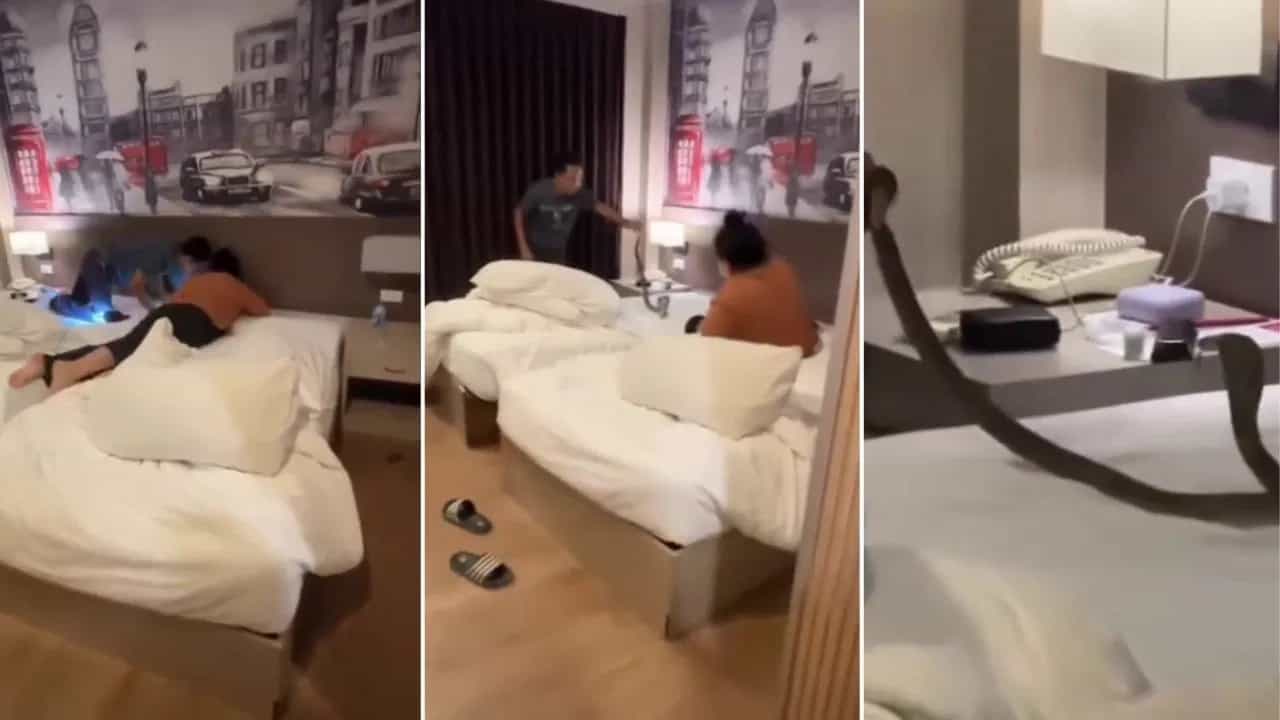 Viral Video: ਹੋਟਲ ਦੇ ਬੈੱਡ ਤੇ ਲੇਟਿਆ ਸੀ ਕਪਲ, ਗਰਦਨ ਤੇ ਰੀਂਗਣ ਲੱਗਿਆ ਕੋਬਰਾ, ਫਿਰ ਜੋ ਹੋਇਆ...