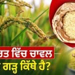 ਨਾ ਬੰਗਾਲ, ਨਾ ਤਾਮਿਲਨਾਡੂ… ਹੁਣ ਇਹ ਰਾਜ ਬਣਿਆ ਦੇਸ਼ ਦਾ ‘ਰਾਈਸ ਬਾਊਲ’, ਈਰਾਨ ਤੱਕ ਹੈ ਭਾਰੀ ਮੰਗ