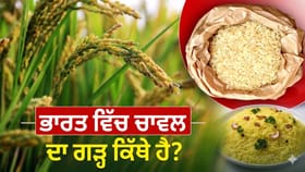 ਨਾ ਬੰਗਾਲ, ਨਾ ਤਾਮਿਲਨਾਡੂ, ਹੁਣ ਇਹ ਰਾਜ ਬਣਿਆ ਦੇਸ਼ ਦਾ ਨਵਾਂ 'ਰਾਈਸ ਬਾਊਲ'