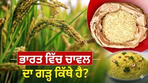 ਨਾ ਬੰਗਾਲ, ਨਾ ਤਾਮਿਲਨਾਡੂ, ਹੁਣ ਇਹ ਰਾਜ ਬਣਿਆ ਦੇਸ਼ ਦਾ ਨਵਾਂ 'ਰਾਈਸ ਬਾਊਲ'